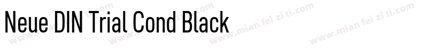 Neue DIN Trial Cond Black字体转换